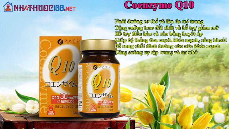 Tác dụng Coenzyme Q10