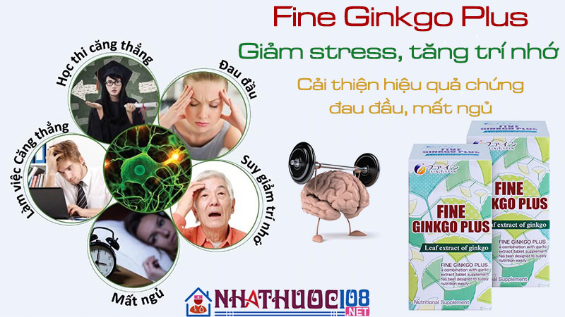 Dưỡng não Fine Ginkgo Plus