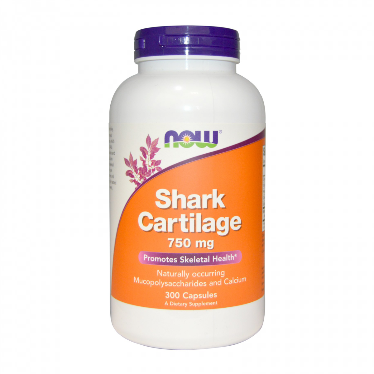 Now Shark Cartilage-1