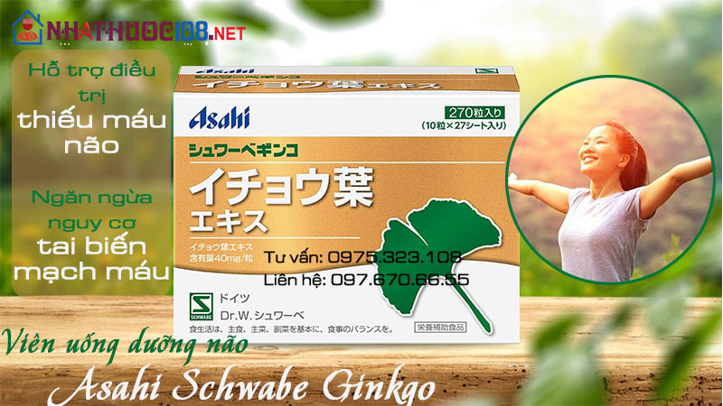 viên uống dưỡng não Asahi Schwabe Ginkgo