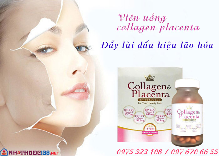 Collagen Placenta