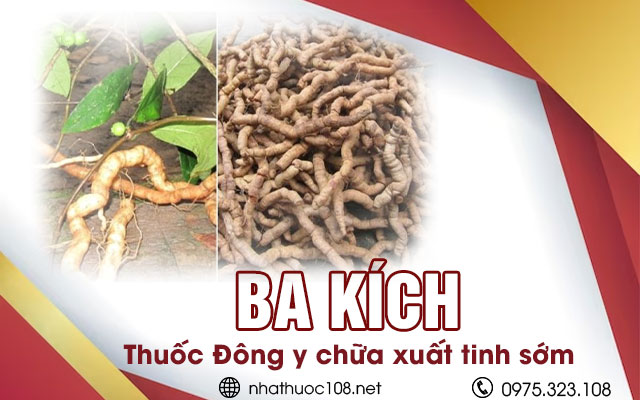 Thuốc Đông y chữa xuất tinh sớm 1: Ba kích