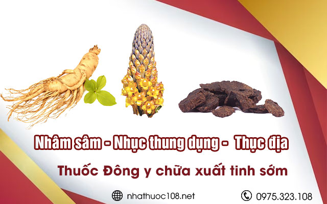 Thuốc Đông y trị xuất tinh sớm 2: Nhục thung dung, nhâm sâm và thục địa