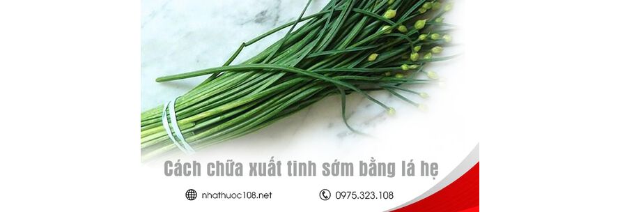 chữa xuất tinh sớm bằng lá hẹ