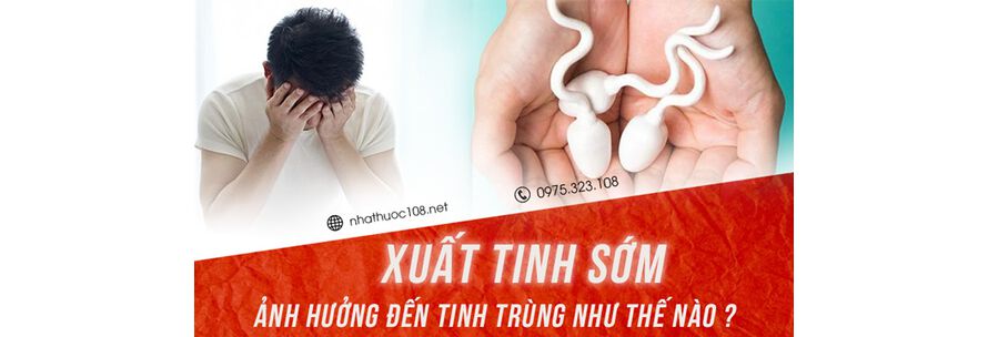 xuất tinh sớm có ảnh hưởng đến chất lượng tinh trùng